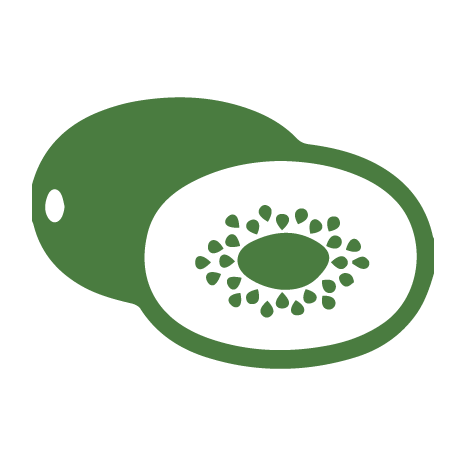 Kiwi-Icon